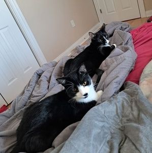 Meet your Posher, Megan